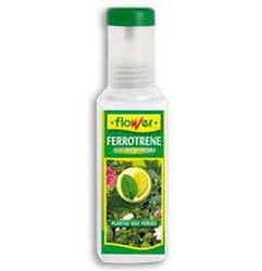 Ferro quelante FLOR Ferrotrene 250 mL