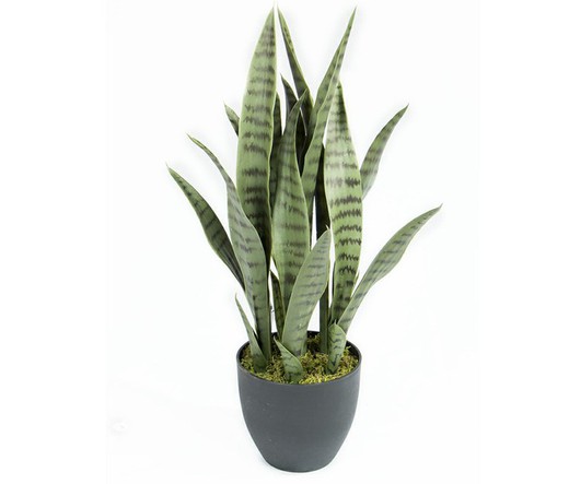 Sansevieria artificial 70 cm Catral