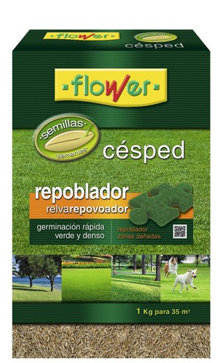 Semilla césped repoblador 1 Kg Flower