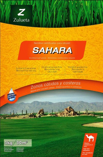 sementes de capim Zulueta Sahara