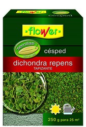 Dichondra repens Flor semente de 250g