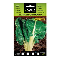 Green Chard Seeds Cut Nomonta Selection on