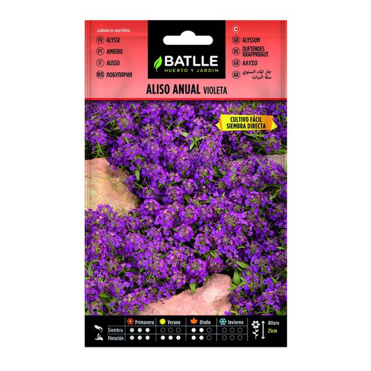 Graines Alysse Violet Batlle 090602BOLS