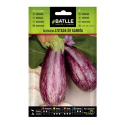 Gelistet Aubergine Samen von Gandia an