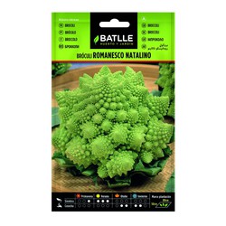 Broccoli Romanesco Natalino Samen auf