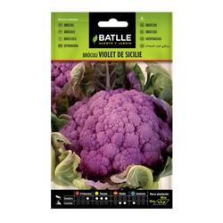 Broccoli Violet de Sicile zaden op