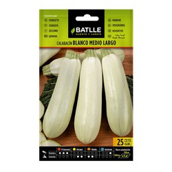 Sementes Courgette 25 gramas Branco médio grande