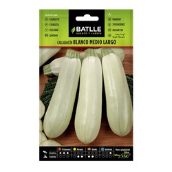 WHITE medium long zucchini