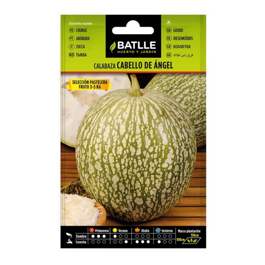 Citrouille Cheveu d'Ange Batlle 011301BOLS