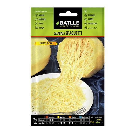 Graines de courge spaghetti sur