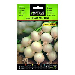 White Onion Seeds La Reina on