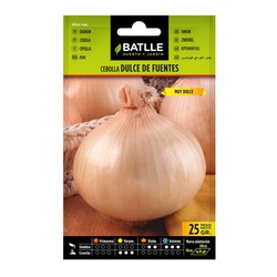 Sweet Onion Seed-Quellen 25 Gramm