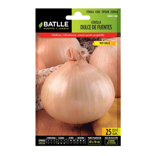 Sweet Onion Seeds 25 grammi di risorse