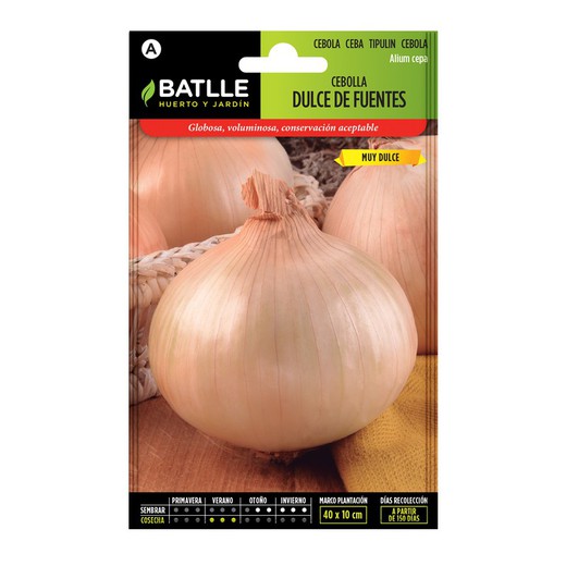 Sweet Onion Seed Sources on