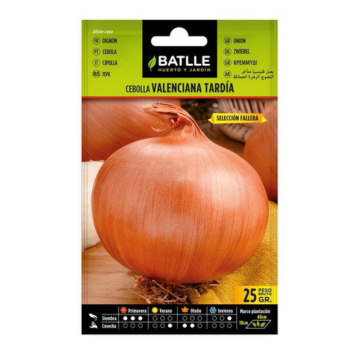 Onion Valen. Delayed Sel. Fallas (10 packs of 25g.)