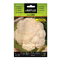 Brio Sel.URGELBA cauliflower (Sep-Oct)