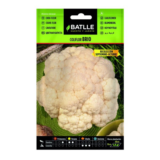 Brio Sel.URGELBA cauliflower (Sep-Oct)