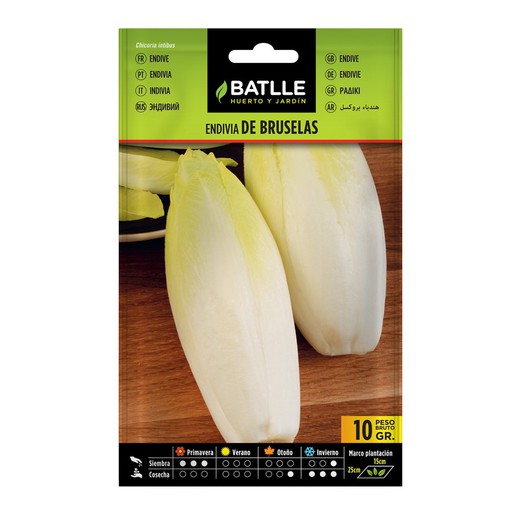 Bruxelles endives (10 sachets de 10g.)