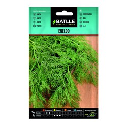 Dill - Anethum graveolens