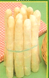 Semi di asparago bianco Argenteuil 500 grammi