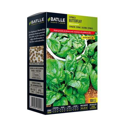 Graines d'Épinards BUTTERFLAY x 1 kg