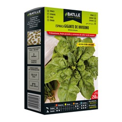 Winter Giant Spinach Frö 250 gram