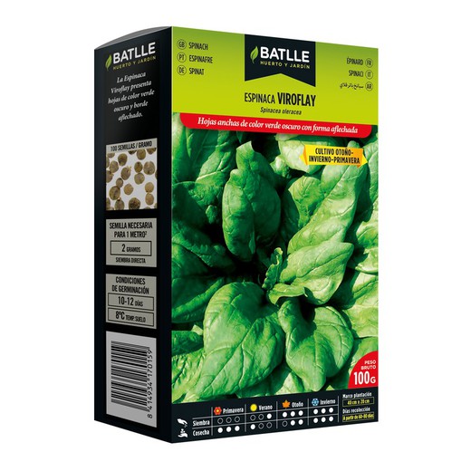 Viroflay Spinach seeds 100 g