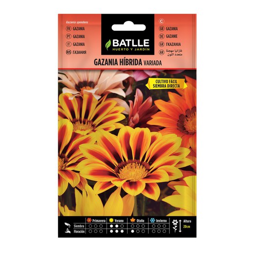 Graines Gazania Hybride Variées en Sachet Batlle 097401BOLS