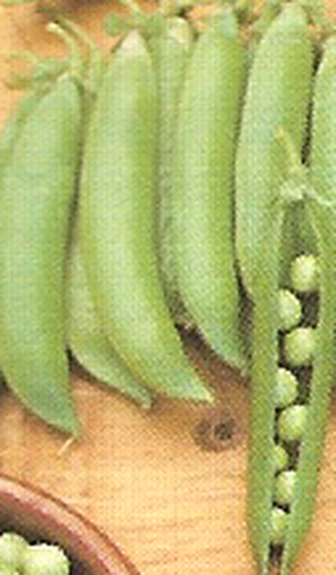 Pea seeds 1 kilo Onward