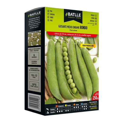 Rondo Pea Seeds 250 grams