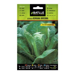 Lettuce Seed Selection Superinverna Winters on