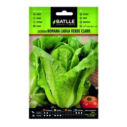 Romaine Salat-Saatgut Long Green