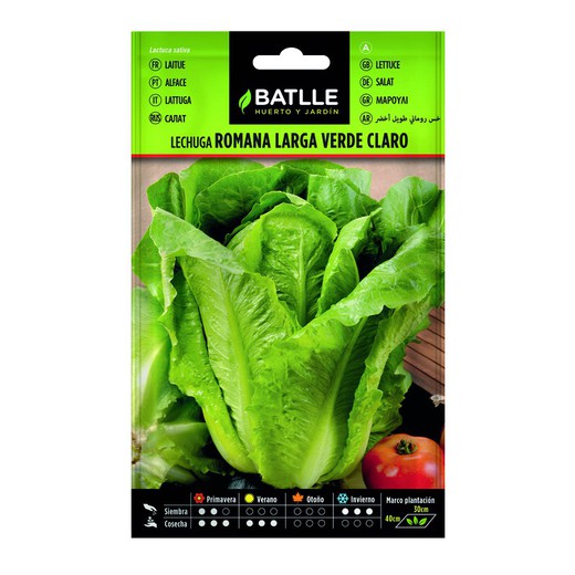 Semi Romaine lunga Green su