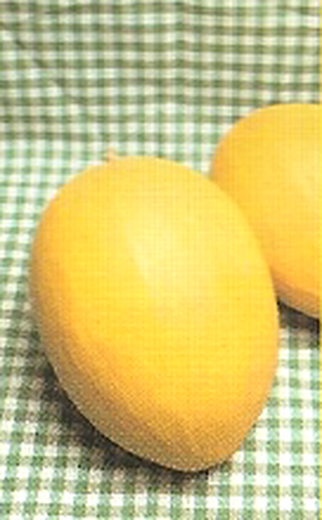 Gelbe Kanarische Melone Seed 100 Gramm