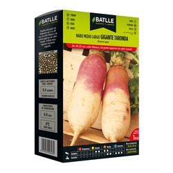 Largo Middle Turnip Seeds Giant Taronda 1 kilo