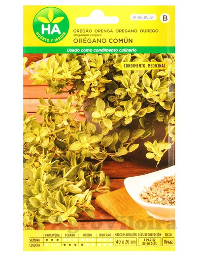 Semillas de oregano 50g