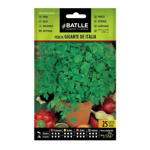 Parsley GIANT D 'ITALIA (10 packs of 25g.)