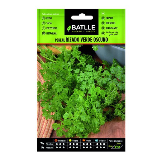 Curly Parsley Seeds on Dark Green