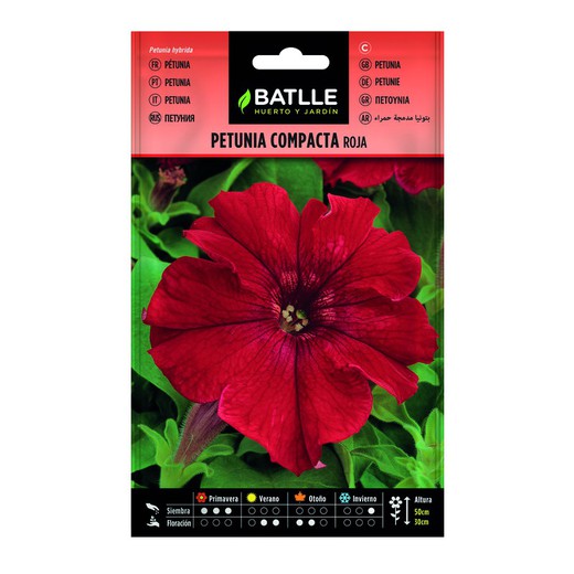 Compact Red Petunia Saatgut auf