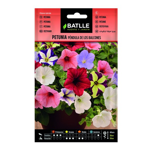 Petunia Pendula de Los Balcones frön på