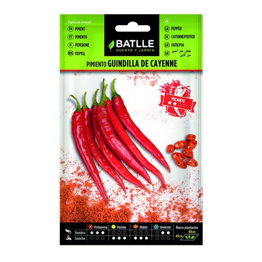 Chilli Pepper Cayenne, rouge