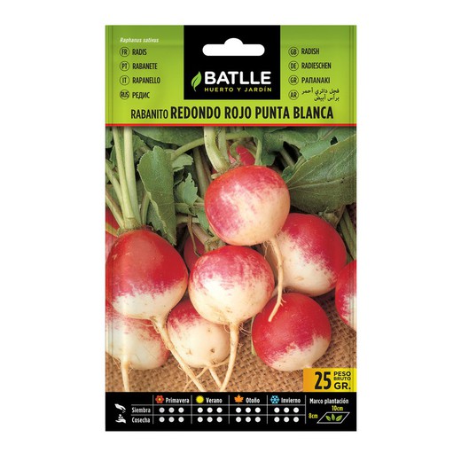 Redondo rouge radis blanc Astuce (10 paquets de 25g.)