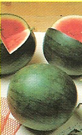 Sugar Baby Watermelon Seeds 100 grams