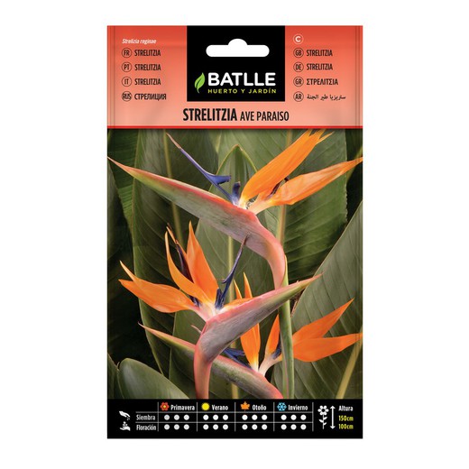 BIRD PARADISE Strelitzia