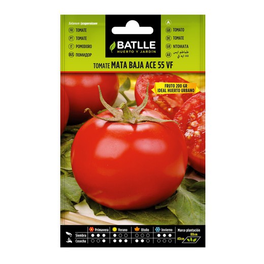 Graines de tomates Ace 55 Vf