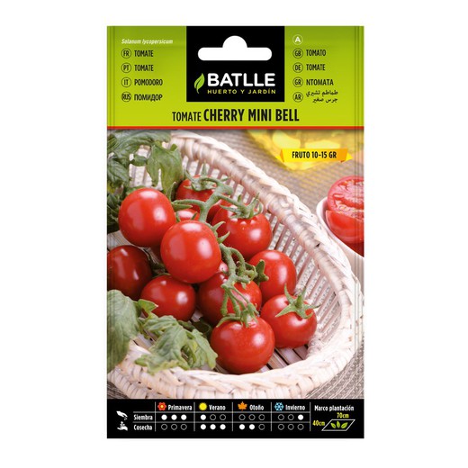 Cherry Tomato Cocktail Seeds ongeveer 10-15 gr