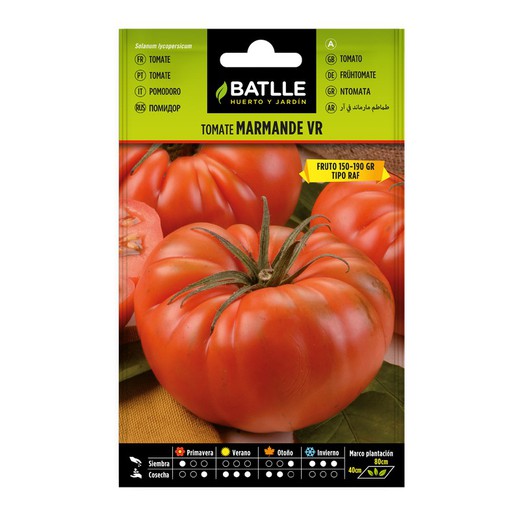 Marmande Vr Holland tomatfrön på