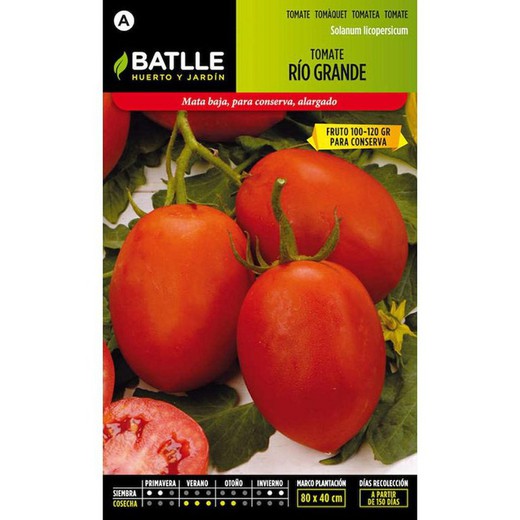 Tomate Rio Grande Sementes 100g