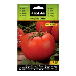 Sementes de tomate 5 gramas Tres Cantos