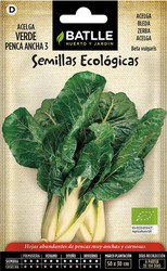 Semillas ecológicas de Acelga Verde de Penca Ancha